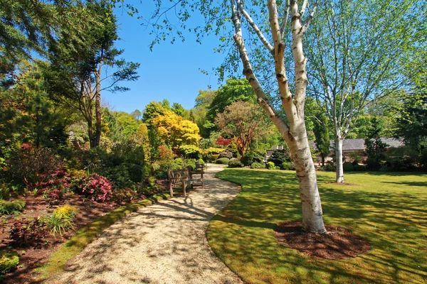 Piękny ogród w okresie wiosennym — Zdjęcie stockowe