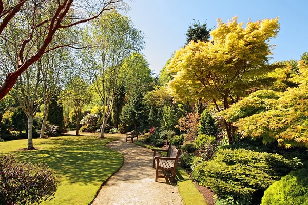 Piękny wiosenny ogród — Zdjęcie stockowe