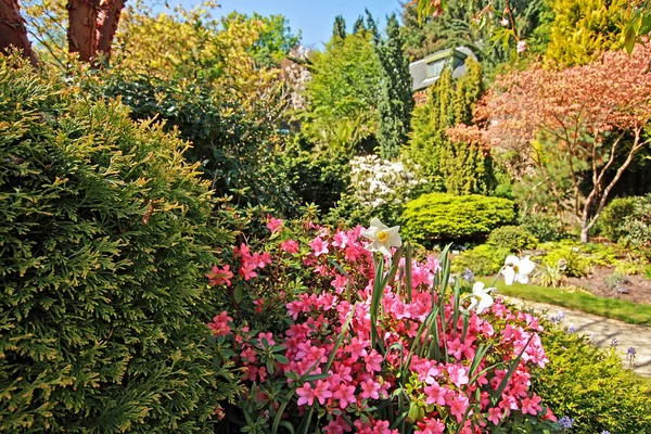 Belo jardim de primavera — Fotografia de Stock