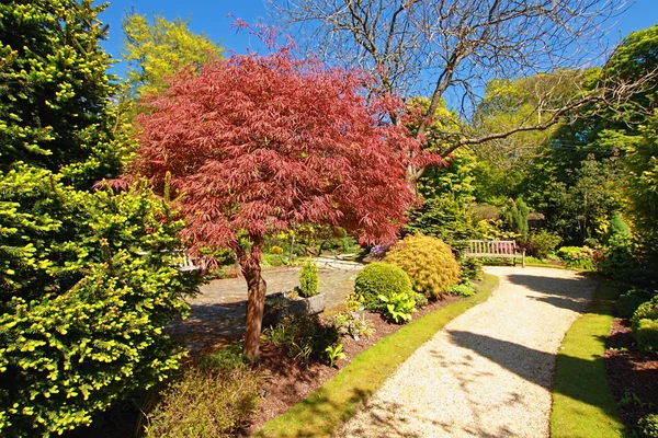 아름 다운 봄 정원 — 스톡 사진