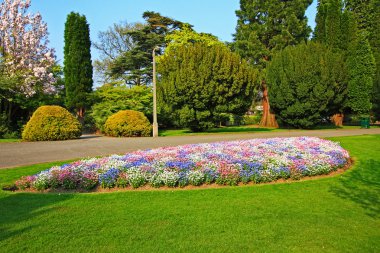 Beautiful park with 3 colour flowers clipart