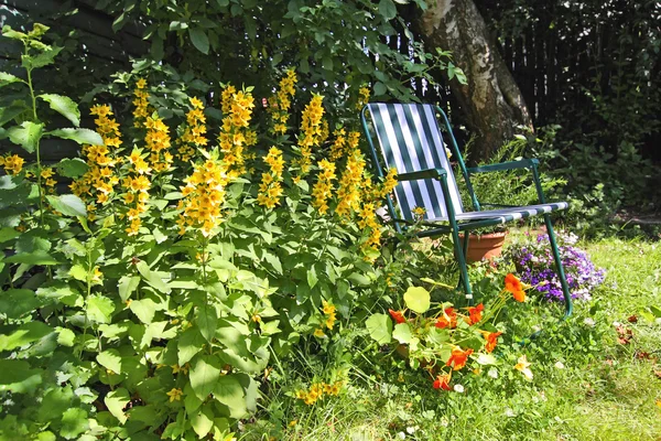 Красивий, старий сад з шезлонгом — стокове фото