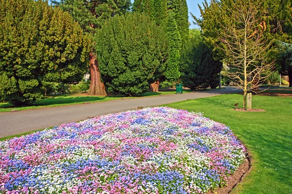 Schöner Park mit 3 farbigen Blumen — Stockfoto