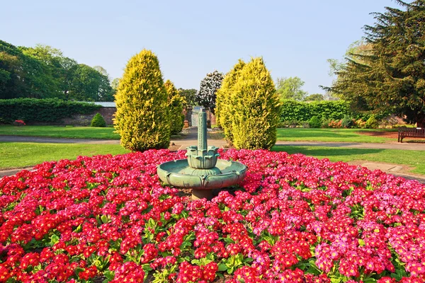 Beautiful spring park with red primroses design — Stock Photo, Image