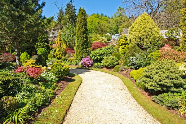 Bellissimo giardino in primavera — Foto Stock