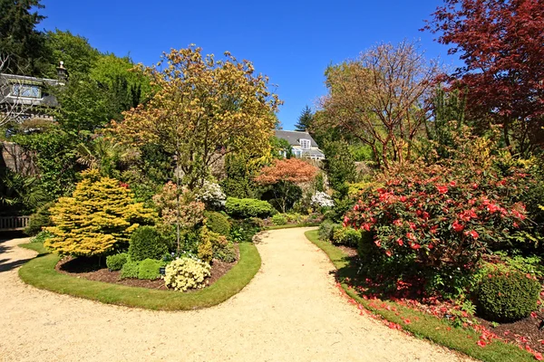 Bellissimo giardino in primavera — Foto Stock