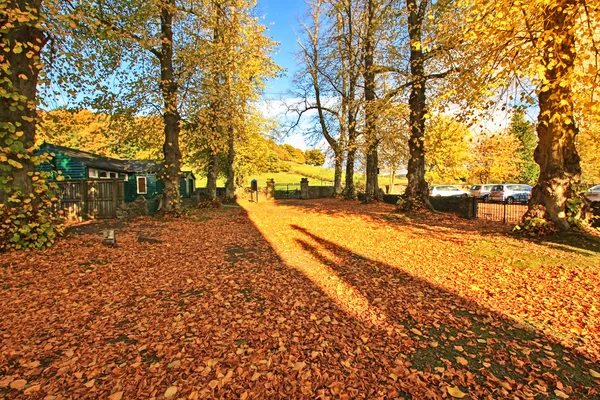 Autumn in Scotland — Stock Photo, Image
