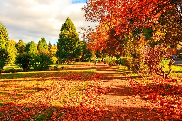 Outono na Escócia — Fotografia de Stock