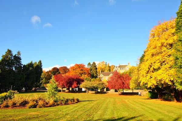 Hösten i Skottland — Stockfoto