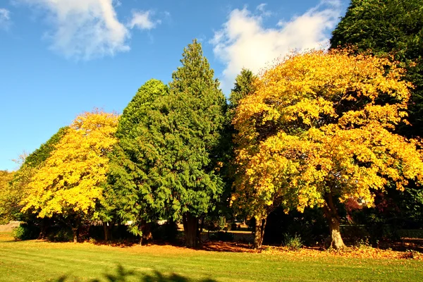 Herbst in Schottland — Stockfoto