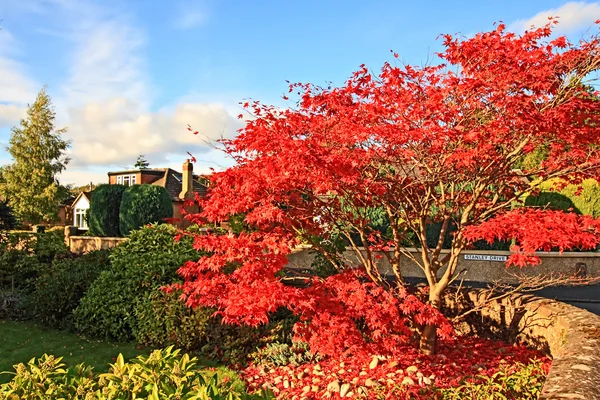 Herbst in Schottland — Stockfoto