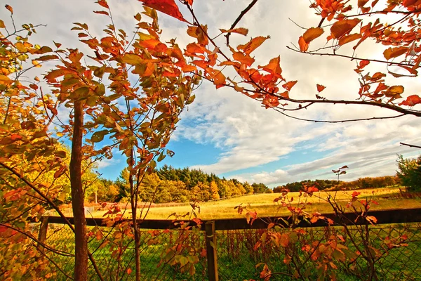 Красива осінь в Шотландії — стокове фото