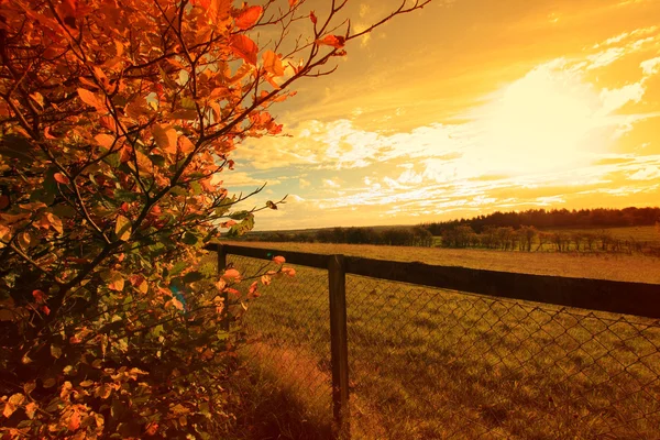Vackra hösten i Skottland — Stockfoto