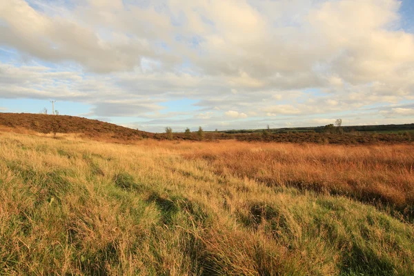 Herfst in Schotland — Stockfoto