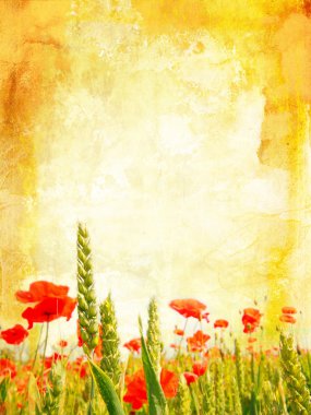 Beautiful vintage background with poppies clipart