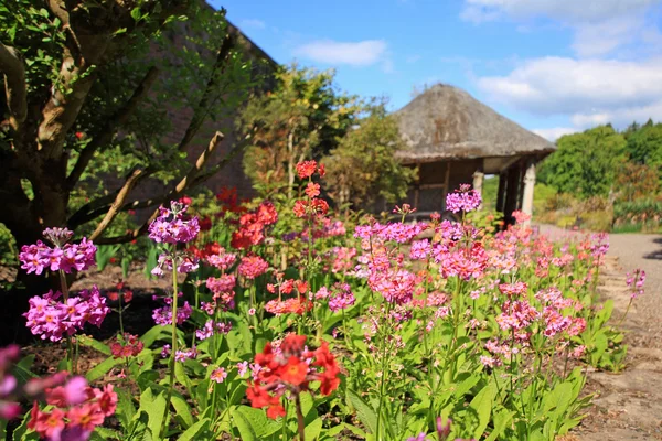 Vacker trädgård på våren — Stockfoto