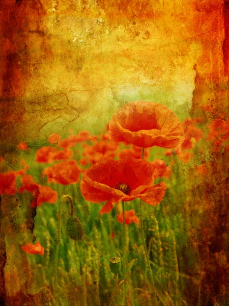 Beautiful vintage background with poppies — Stock Photo, Image