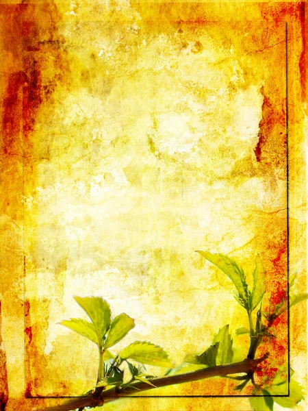 Grunge arka planı yeşil yaprakları ile — Stok fotoğraf