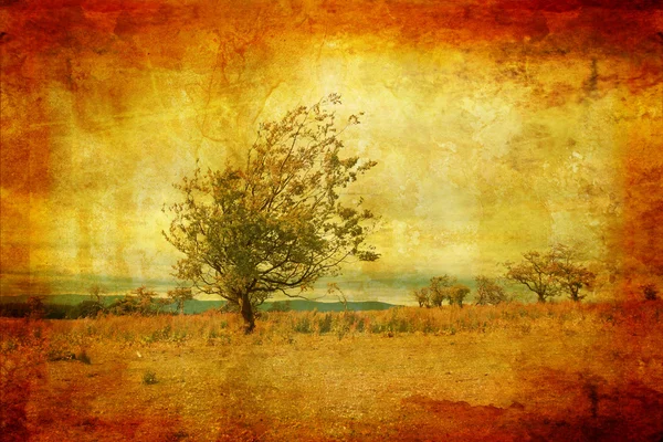 Osamělý strom proti bílé mraky — Stock fotografie