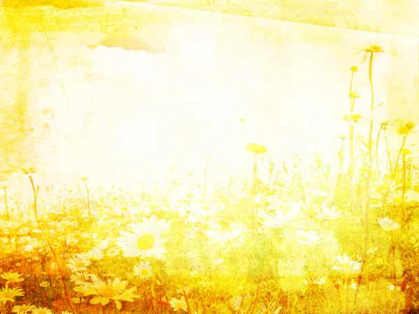 Schöner Grunge-Hintergrund mit Gänseblümchen — Stockfoto