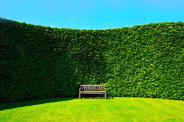 Садовая изгородь со скамейкой — стоковое фото