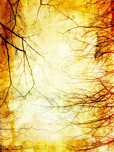 Grunge background with tree branches — Stock Photo, Image