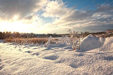 Beautiful wintery landscape clipart