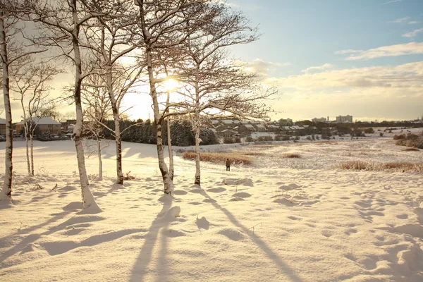 Bela paisagem invernal — Fotografia de Stock