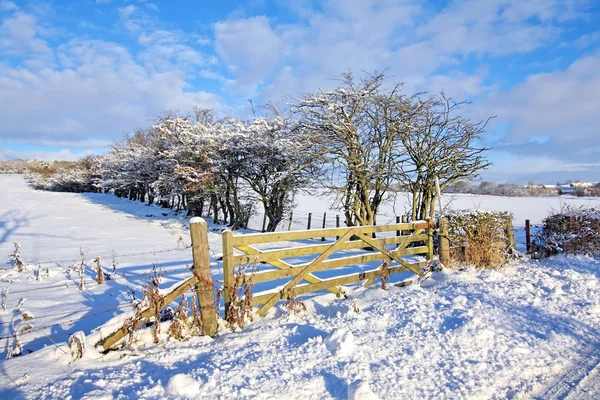 在苏格兰的冬天 — 图库照片