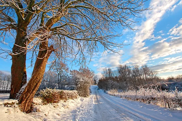 Vinter i Skottland – stockfoto