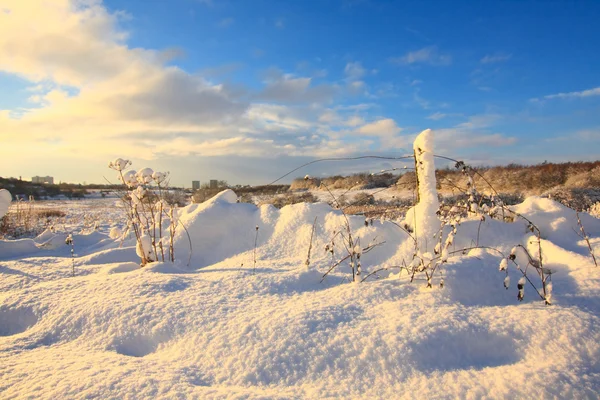 Campos nevados en el campo — Foto de Stock