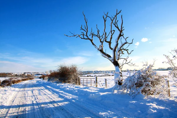 Besneeuwde weg op het platteland, Schotland — Stockfoto