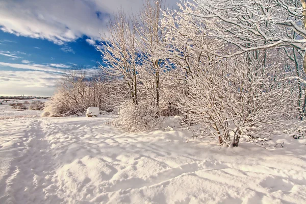 冬季景观、 苏格兰 — 图库照片