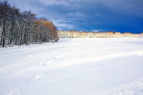 Vinterlandskap i Skottland – stockfoto
