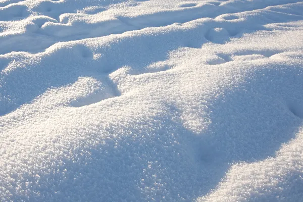 Śnieg, z bliska — Zdjęcie stockowe