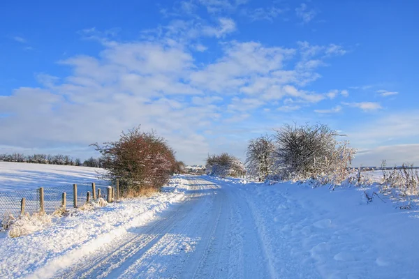 Winterlandschap, Schotland — Stockfoto
