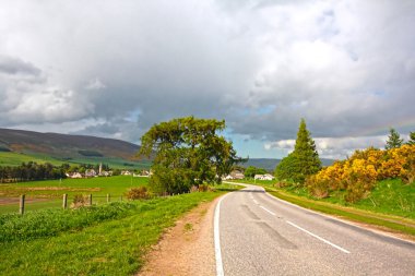 Kırsalda bir yol