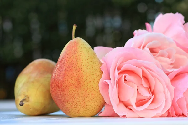 Päron och rosor i trädgården — Stockfoto