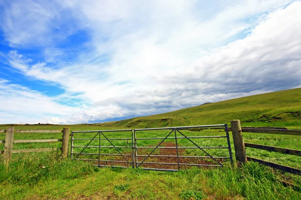 Skotský pole s dřevěným plotem — Stock fotografie
