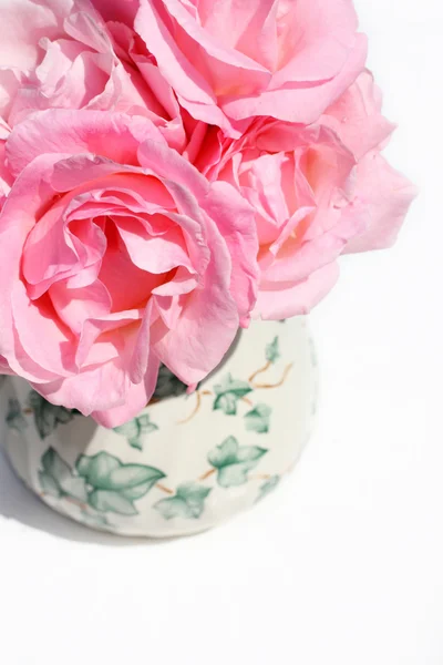 핑크 정원 장미를 닫습니다. — 스톡 사진