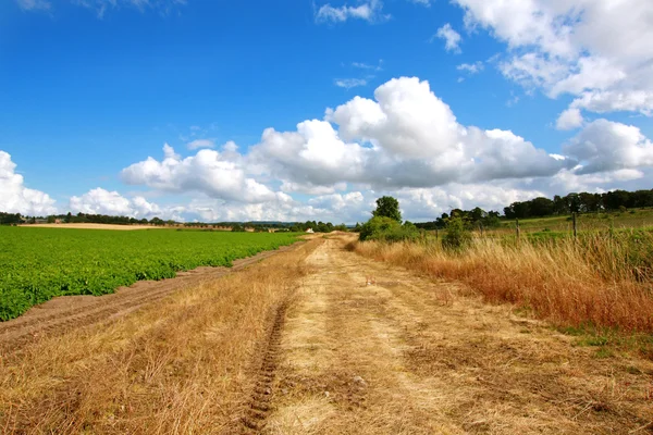 Estrada rural nos campos — Fotografia de Stock