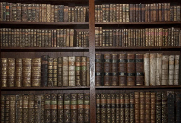 Livres anciens dans la vieille bibliothèque Images De Stock Libres De Droits