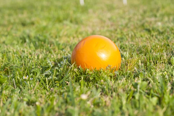 Croquet ball — Stock Photo, Image