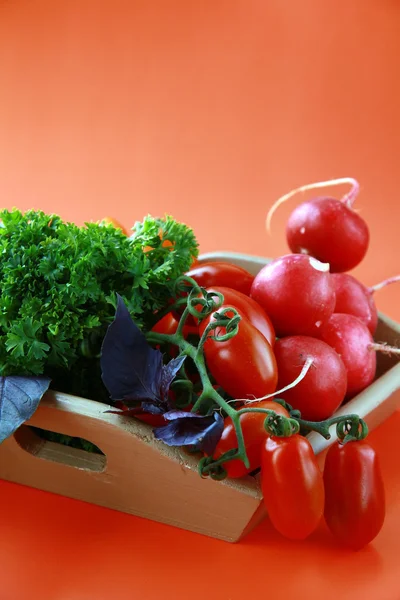 Различные свежие овощи на столе — стоковое фото