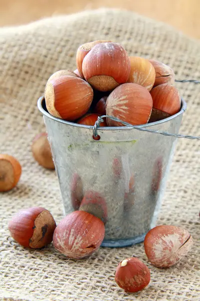 Hasselnötter i en hink på en naturlig bakgrund — Stockfoto