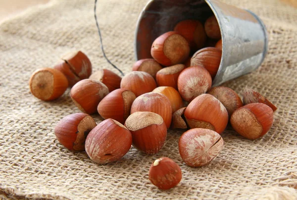 Hasselnötter i en hink på en naturlig bakgrund — Stockfoto
