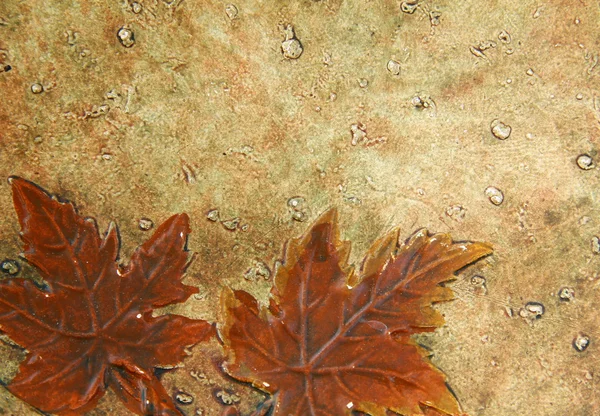 Autumn background with place for your text — Stock Photo, Image