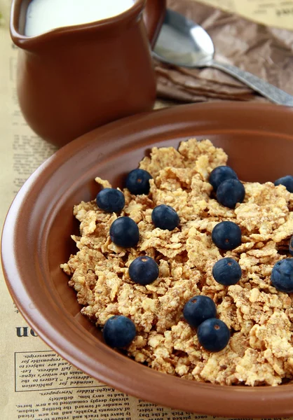 Healthy breakfast of muesli with fresh berries and milk — Zdjęcie stockowe