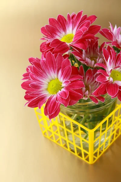 Roze chrysant bloemen in de gele mand — Stockfoto