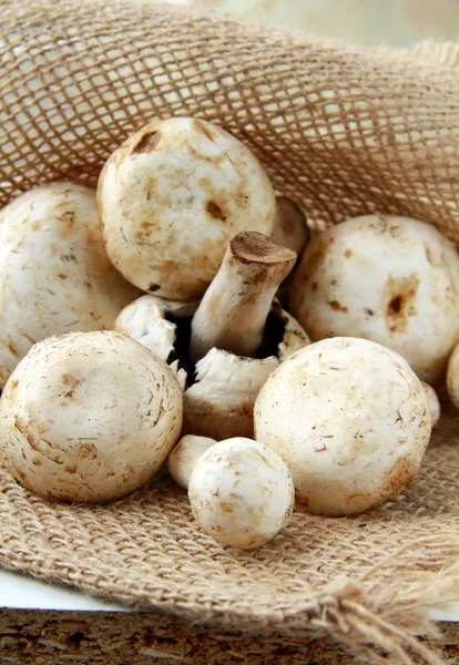 Свежие органические полевые грибы в мешке — стоковое фото